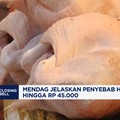 Video: Mendag Jelaskan Penyebab Harga Daging Ayam Tembus Rp 45.000