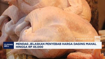 Video: Mendag Jelaskan Penyebab Harga Daging Ayam Tembus Rp 45.000