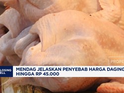 Video: Mendag Jelaskan Penyebab Harga Daging Ayam Tembus Rp 45.000