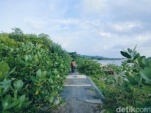 Kondisi Memprihatinkan Pantai Lakey: Tak Terurus-Ditumbuhi Semak Belukar