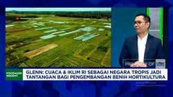 Video: Alasan Benih Kangkung hingga Cabe RI Laris Manis di Jepan-China