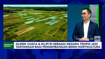 Video: Alasan Benih Kangkung hingga Cabe RI Laris Manis di Jepan-China