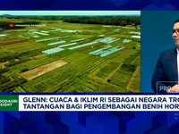 Video: Alasan Benih Kangkung hingga Cabe RI Laris Manis di Jepan-China