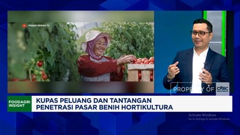 Video: Harga Sayur Naik & MBG, Permintaan Benih Holtikultura Ikut Naik