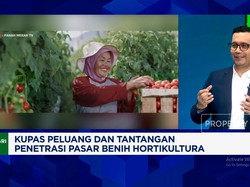 Video: Harga Sayur Naik & MBG, Permintaan Benih Holtikultura Ikut Naik