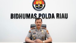 Polda Riau Tegaskan Kasus Gajah Dibunuh Masih Diproses, 40 Saksi Diperiksa