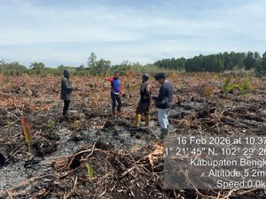 Pembakar Lahan di Bengkalis Riau Ditangkap, Dalihnya Bakar Sarang Tawon