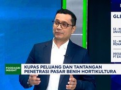 Video: Tahan Hama & Cuaca Buruk, Tantangan Produksi Benih Sayur Unggul
