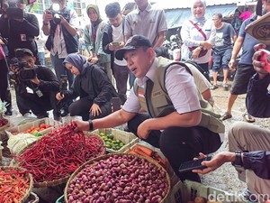 Harga Cabai Naik Jadi Rp 60.000/Kg, Dirut Bulog: Wajar karena Hujan Terus