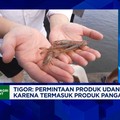 Video: Tak Mau Tergantung Dengan AS,Ekspor Udang RI Incar Jepang-Eropa