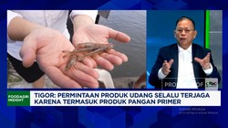 Video: Tak Mau Tergantung Dengan AS,Ekspor Udang RI Incar Jepang-Eropa
