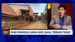 Video: Jika Kuota Produksi Nikel Dibatasi, Smelter 