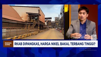Video: Jika Kuota Produksi Nikel Dibatasi, Smelter 