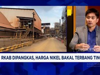 Video: Jika Kuota Produksi Nikel Dibatasi, Smelter 