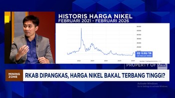 Video: Produksi Nikel 2026 Dikurangi 30%, Pengusaha Smelter Teriak Ini