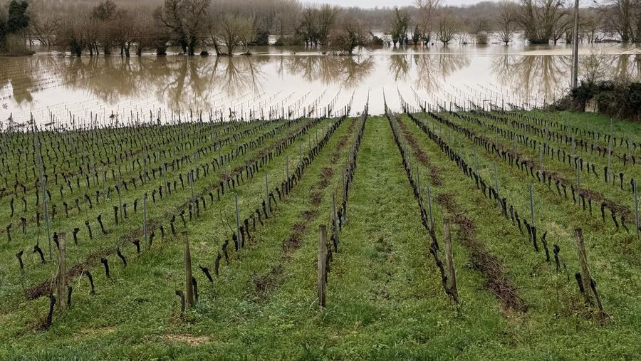 Foto udara yang diambil pada Kamis (19/2/2026) memperlihatkan hamparan lahan pertanian dan permukiman warga terendam banjir di antara kota Agen dan La R&eacute;ole, Prancis barat daya. (Tangkapan Layar Video Reuters/SECURITE CIVILE)