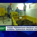 Video: Udang RI Bersaing di Pasar AS-China, Pengusaha Punya Jurus Ini