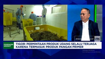 Video: Udang RI Bersaing di Pasar AS-China, Pengusaha Punya Jurus Ini