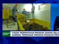 Video: Udang RI Bersaing di Pasar AS-China, Pengusaha Punya Jurus Ini