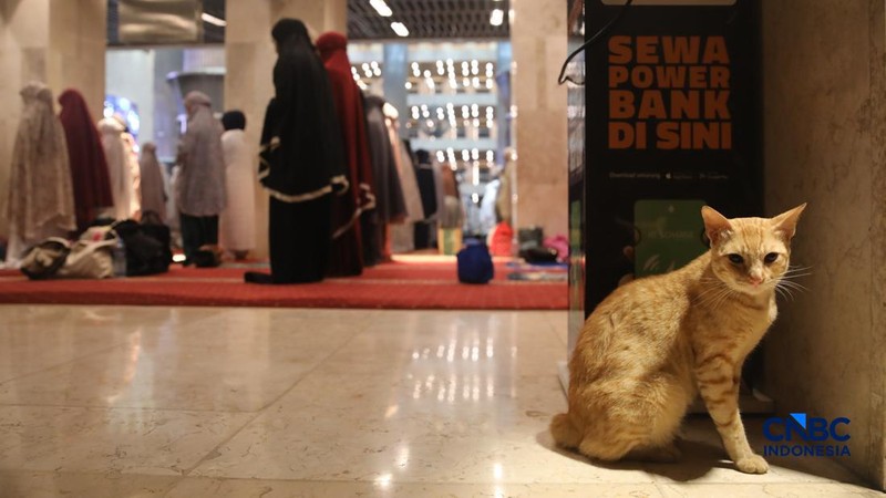 Umat muslim mengikuti salat Tarawih Ramadan 1447 Hijriah di Masjid Istiqlal, Jakarta, Kamis (19/2/2026). (CNBC Indonesia/Faisal Rahman)