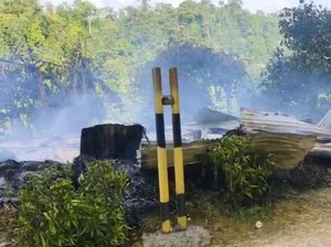 Pos Perusahaan Tambang Emas di Nabire Dibakar KKB, 26 WN China Dievakuasi