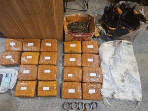 Polisi Tangkap Pengedar Narkoba di Jakbar, 18 Kg Ganja Disita