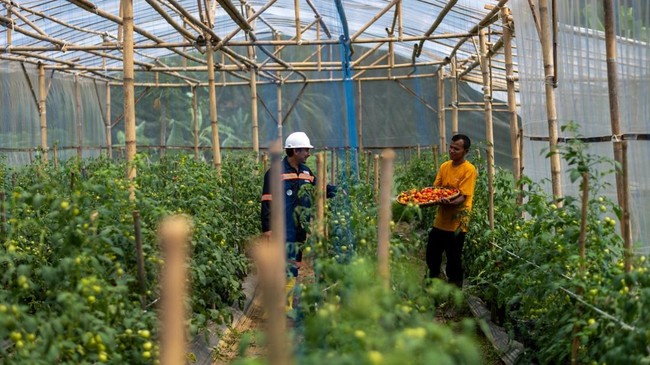 Lewat Program Ini, ANTAM Sukses Kembangkan Sektor Pertanian di Bogor