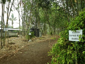 Upaya Desa Adat di Bangli Konservasi Pohon Langka Kaliasem dan Majegau
