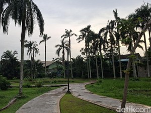 Rute dan Pilihan Transportasi ke Taman Salak Kuning atau Taman Teletubbies di Jaktim