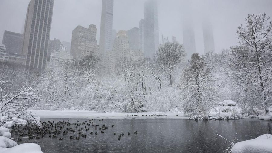 Seorang pejalan kaki berjalan di jalan saat salju turun selama badai musim dingin di Kota New York, AS, 23 Februari 2026. (REUTERS/Jeenah Moon)