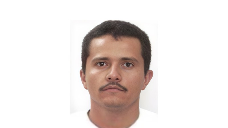 Foto udara menampilkan kawasan Tapalpa Country Club di Jalisco, Meksiko, Selasa (24/2/2025). (REUTERS/Jose Luis Gonzalez)