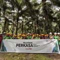 Pelatihan PERKASA Menata Ulang Harapan Petani Sawit