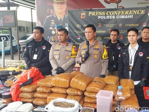 Ganja 1 Kuintal dari Medan Gagal Beredar di Bandung, 3 Orang Ditangkap