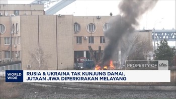 Video: 4 Tahun Perang Rusia & Ukraina, Jutaan Jiwa Melayang