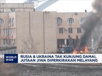 Video: 4 Tahun Perang Rusia & Ukraina, Jutaan Jiwa Melayang