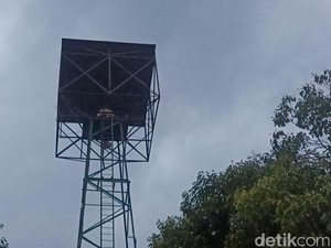 Terompet Peninggalan Belanda Berusia 2 Abad Masih Nyaring di Probolinggo