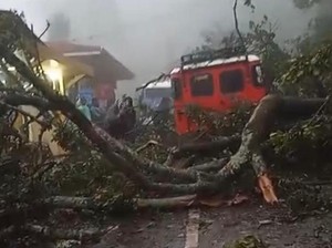 Bromo Longsor! 7 Motor Tertimbun-Akses Wisata Tertutup