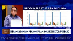 Video: RKAB Nikel-Batu Bara Dipangkas, PNBP Ikut Terdampak?