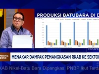 Video: RKAB Nikel-Batu Bara Dipangkas, PNBP Ikut Terdampak?
