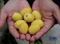 7 Obat Segala Penyakit Tertulis dalam Al Quran dan Hadist