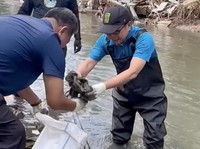 RI Darurat Sampah! Deputi KLH Terjun ke Sungai Angkut Sampah