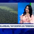 Video: RI Punya Kayu Mahal Seharga Emas Yang Diincar AS-Timur Tengah
