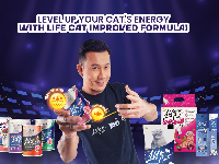 Life Cat Indonesia Hadirkan Nutrisi Premium untuk Kesehatan Anabul