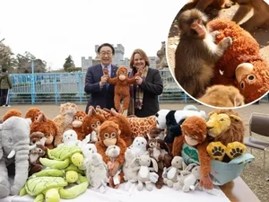 Cute! IKEA Kasih Bayi Monyet Punch Boneka Lebih Banyak
