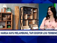 Video: RI Punya Jati hingga Gaharu, Ekspor Hasil Kayu RI Panen Cuan?