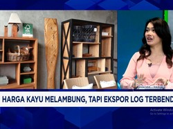 Video: RI Punya Jati hingga Gaharu, Ekspor Hasil Kayu RI Panen Cuan?