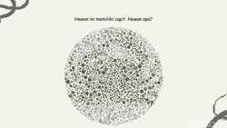 Bisa Temukan 4 Gambar Hewan? Harusnya Mudah Kalau Lolos Tes Buta Warna