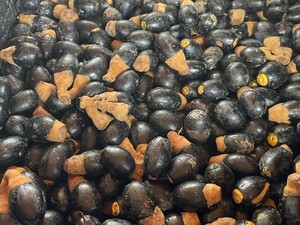 2 Buah Hutan Khas Kalbar Curi Perhatian Pasar Internasional