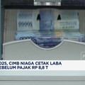 Video: Cetak Laba Sebelum Pajak Rp 8,8 T, Ini Target CIMB Niaga di 202