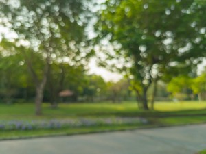 Taman Banjarsari Viral Usai Diduga Jadi Tempat Mesum